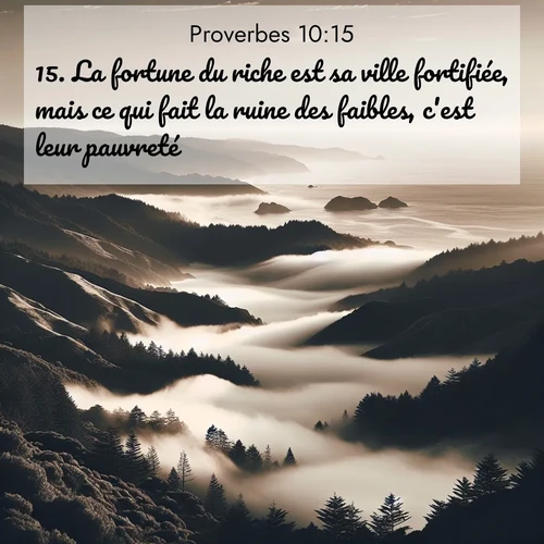 Segond21 Proverbes  ; image nature: image avec le verset biblique :La fortune du riche est sa ville fortifiée, mais ce qui fait la ruine des faibles, c&#039;est leur pauvreté. ;  ; 10:15