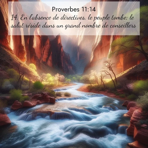 Segond21 Proverbes  ; image nature: image avec le verset biblique :En l&#039;absence de directives, le peuple tombe; le salut réside dans un grand nombre de conseillers. ;  ; 11:14
