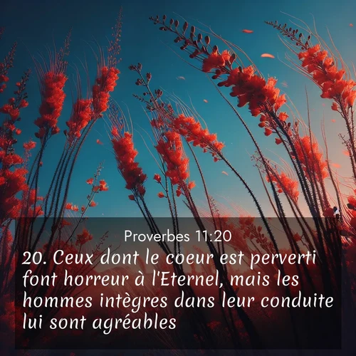 Segond21 Proverbes  ; image nature: image avec le verset biblique :Ceux dont le coeur est perverti font horreur à l&#039;Eternel, mais les hommes intègres dans leur conduite lui sont agréables. ;  ; 11:20
