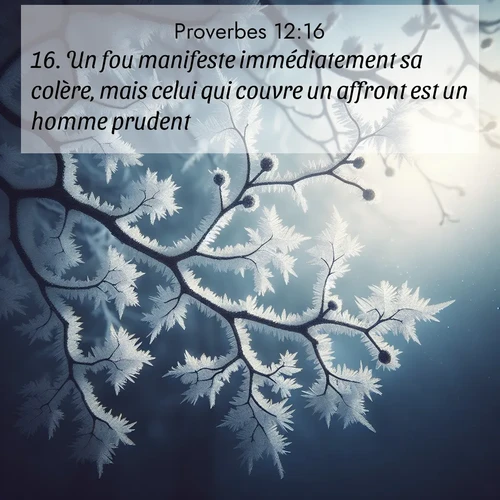 Segond21 Proverbes  ; image nature: image avec le verset biblique :Un fou manifeste immédiatement sa colère, mais celui qui couvre un affront est un homme prudent. ;  ; 12:16