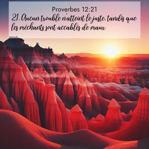 Segond21 Proverbes  ; image nature: image avec le verset biblique :Aucun trouble n&#039;atteint le juste, tandis que les méchants sont accablés de maux. ;  ; 12:21