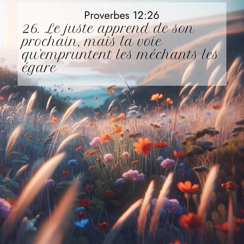 Segond21 Proverbes  ; image nature: image avec le verset biblique :Le juste apprend de son prochain, mais la voie qu&#039;empruntent les méchants les égare. ;  ; 12:26