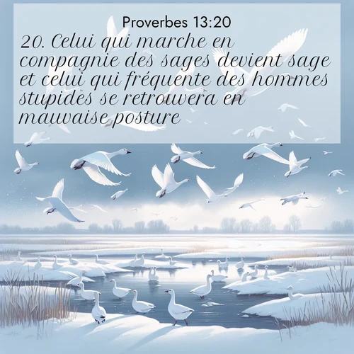 Segond21 Proverbes  ; image nature: image avec le verset biblique :Celui qui marche en compagnie des sages devient sage et celui qui fréquente des hommes stupides se retrouvera en mauvaise posture. ;  ; 13:20