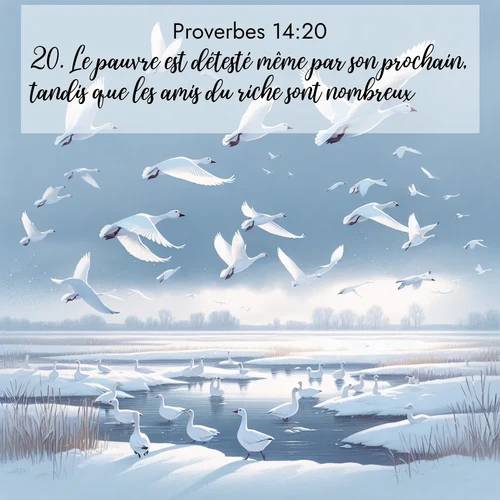 Segond21 Proverbes  ; image nature: image avec le verset biblique :Le pauvre est détesté même par son prochain, tandis que les amis du riche sont nombreux. ;  ; 14:20