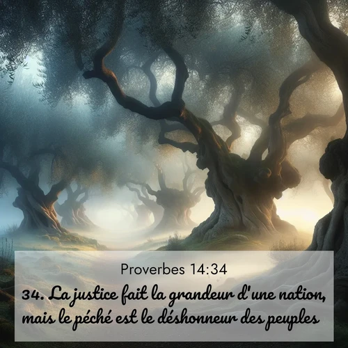 Segond21 Proverbes  ; image nature: image avec le verset biblique :La justice fait la grandeur d&#039;une nation, mais le péché est le déshonneur des peuples. ;  ; 14:34
