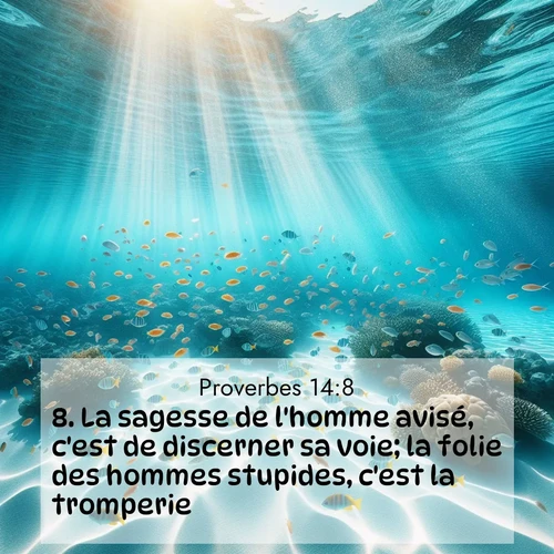 Segond21 Proverbes  ; image nature: image avec le verset biblique :La sagesse de l&#039;homme avisé, c&#039;est de discerner sa voie; la folie des hommes stupides, c&#039;est la tromperie. ;  ; 14:8