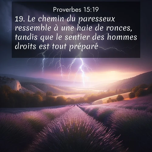 Segond21 Proverbes  ; image nature: image avec le verset biblique :Le chemin du paresseux ressemble à une haie de ronces, tandis que le sentier des hommes droits est tout préparé. ;  ; 15:19