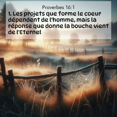 Segond21 Proverbes  ; image nature: image avec le verset biblique :Les projets que forme le coeur dépendent de l&#039;homme, mais la réponse que donne la bouche vient de l&#039;Eternel. ;  ; 16:1