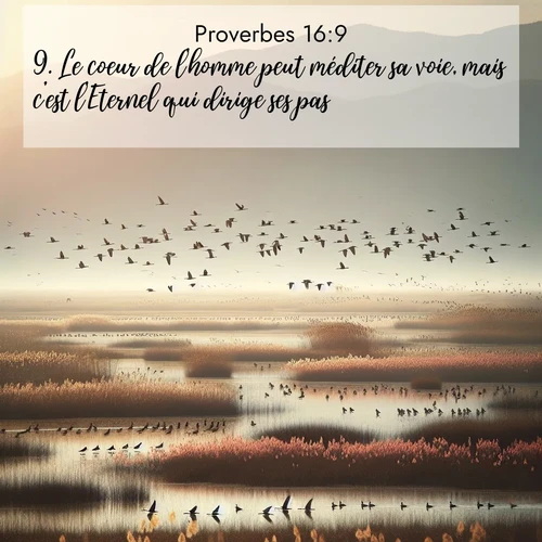 Segond21 Proverbes  ; image nature: image avec le verset biblique :Le coeur de l&#039;homme peut méditer sa voie, mais c&#039;est l&#039;Eternel qui dirige ses pas. ;  ; 16:9