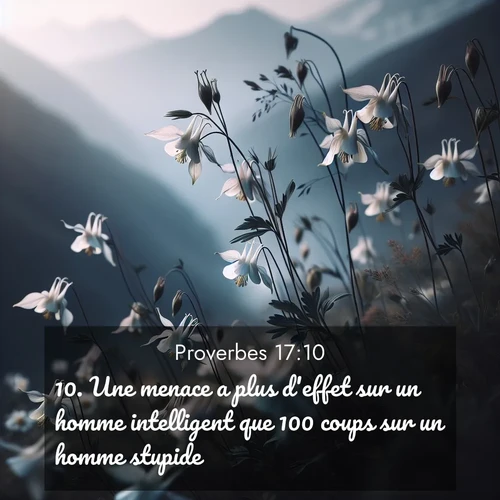 Segond21 Proverbes  ; image nature: image avec le verset biblique :Une menace a plus d&#039;effet sur un homme intelligent que 100 coups sur un homme stupide. ;  ; 17:10