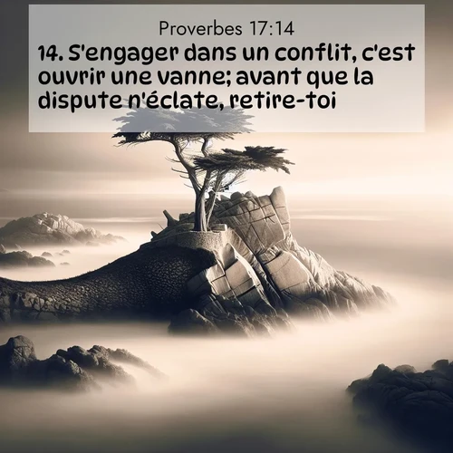 Segond21 Proverbes  ; image nature: image avec le verset biblique :S&#039;engager dans un conflit, c&#039;est ouvrir une vanne; avant que la dispute n&#039;éclate, retire-toi! ;  ; 17:14
