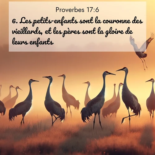 Segond21 Proverbes  ; image nature: image avec le verset biblique :Les petits-enfants sont la couronne des vieillards, et les pères sont la gloire de leurs enfants. ;  ; 17:6