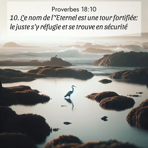 Segond21 Proverbes  ; image nature: image avec le verset biblique :Le nom de l&#039;Eternel est une tour fortifiée: le juste s&#039;y réfugie et se trouve en sécurité. ;  ; 18:10