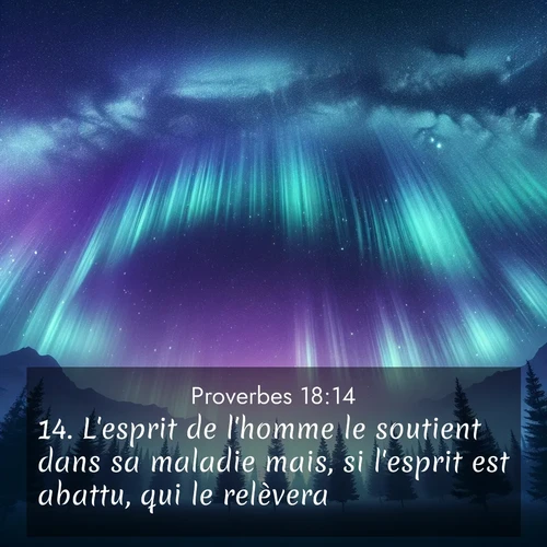 Segond21 Proverbes  ; image nature: image avec le verset biblique :L&#039;esprit de l&#039;homme le soutient dans sa maladie mais, si l&#039;esprit est abattu, qui le relèvera? ;  ; 18:14