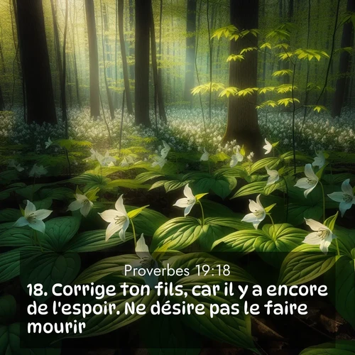Segond21 Proverbes  ; image nature: image avec le verset biblique :Corrige ton fils, car il y a encore de l&#039;espoir. Ne désire pas le faire mourir! ;  ; 19:18