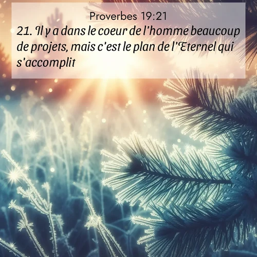 Segond21 Proverbes  ; image nature: image avec le verset biblique :Il y a dans le coeur de l&#039;homme beaucoup de projets, mais c&#039;est le plan de l&#039;Eternel qui s&#039;accomplit. ;  ; 19:21