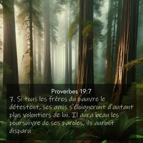 Segond21 Proverbes  ; image nature: image avec le verset biblique :Si tous les frères du pauvre le détestent, ses amis s&#039;éloigneront d&#039;autant plus volontiers de lui. Il aura beau les poursuivre de ses paroles, ils auront disparu. ;  ; 19:7