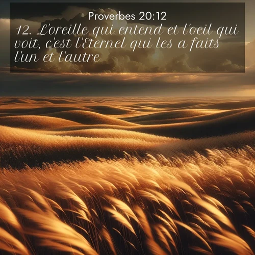 Segond21 Proverbes  ; image nature: image avec le verset biblique :L&#039;oreille qui entend et l&#039;oeil qui voit, c&#039;est l&#039;Eternel qui les a faits l&#039;un et l&#039;autre. ;  ; 20:12