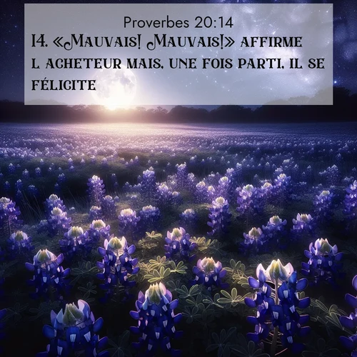 Segond21 Proverbes  ; image nature: image avec le verset biblique :«Mauvais! Mauvais!» affirme l&#039;acheteur mais, une fois parti, il se félicite. ;  ; 20:14