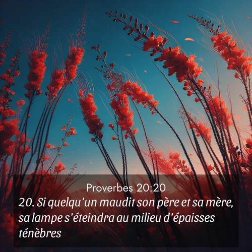 Segond21 Proverbes  ; image nature: image avec le verset biblique :Si quelqu&#039;un maudit son père et sa mère, sa lampe s&#039;éteindra au milieu d&#039;épaisses ténèbres. ;  ; 20:20