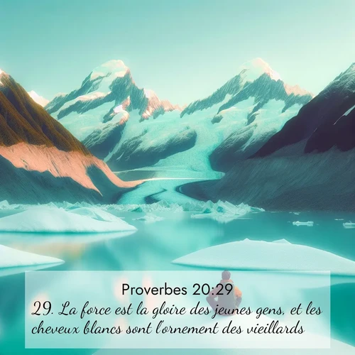 Segond21 Proverbes  ; image nature: image avec le verset biblique :La force est la gloire des jeunes gens, et les cheveux blancs sont l&#039;ornement des vieillards. ;  ; 20:29