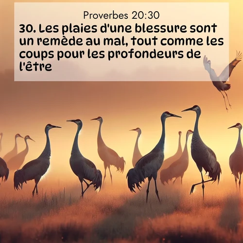 Segond21 Proverbes  ; image nature: image avec le verset biblique :Les plaies d&#039;une blessure sont un remède au mal, tout comme les coups pour les profondeurs de l&#039;être. ;  ; 20:30