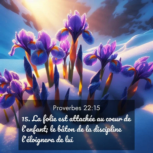 Segond21 Proverbes  ; image nature: image avec le verset biblique :La folie est attachée au coeur de l&#039;enfant; le bâton de la discipline l&#039;éloignera de lui. ;  ; 22:15