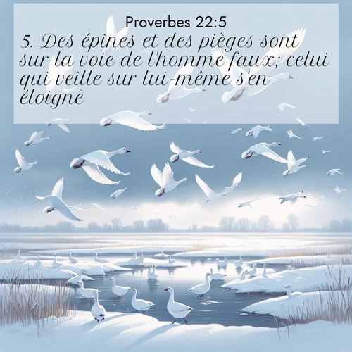 Segond21 Proverbes  ; image nature: image avec le verset biblique :Des épines et des pièges sont sur la voie de l&#039;homme faux; celui qui veille sur lui-même s&#039;en éloigne. ;  ; 22:5