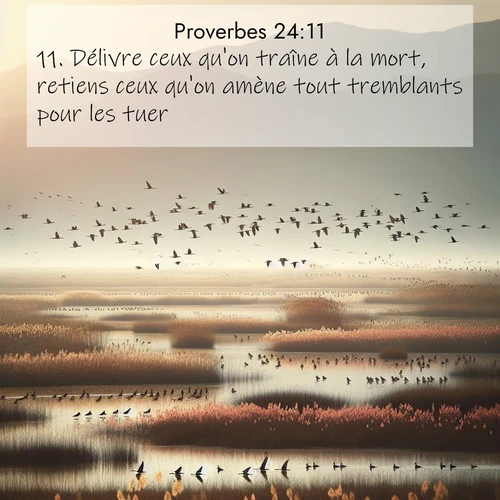 Segond21 Proverbes  ; image nature: image avec le verset biblique :Délivre ceux qu&#039;on traîne à la mort, retiens ceux qu&#039;on amène tout tremblants pour les tuer! ;  ; 24:11