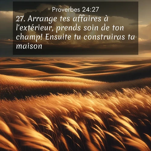 Segond21 Proverbes  ; image nature: image avec le verset biblique :Arrange tes affaires à l&#039;extérieur, prends soin de ton champ! Ensuite tu construiras ta maison. ;  ; 24:27