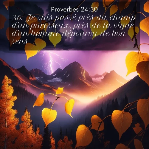 Segond21 Proverbes  ; image nature: image avec le verset biblique :Je suis passé près du champ d&#039;un paresseux, près de la vigne d&#039;un homme dépourvu de bon sens: ;  ; 24:30