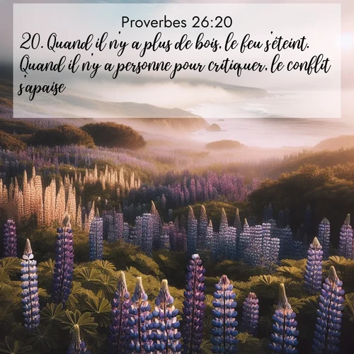 Segond21 Proverbes  ; image nature: image avec le verset biblique :Quand il n&#039;y a plus de bois, le feu s&#039;éteint. Quand il n&#039;y a personne pour critiquer, le conflit s&#039;apaise. ;  ; 26:20