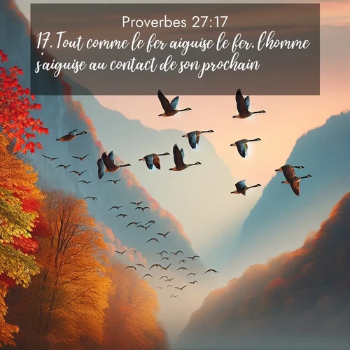 Segond21 Proverbes  ; image nature: image avec le verset biblique :Tout comme le fer aiguise le fer, l&#039;homme s&#039;aiguise au contact de son prochain. ;  ; 27:17