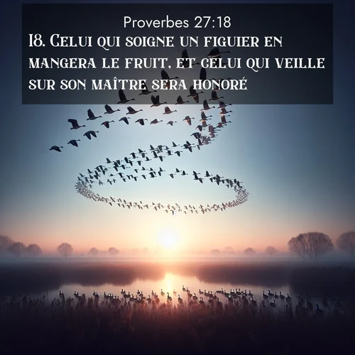 Segond21 Proverbes  ; image nature: image avec le verset biblique :Celui qui soigne un figuier en mangera le fruit, et celui qui veille sur son maître sera honoré. ;  ; 27:18