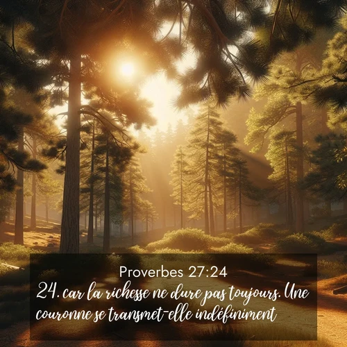 Segond21 Proverbes  ; image nature: image avec le verset biblique :car la richesse ne dure pas toujours. Une couronne se transmet-elle indéfiniment? ;  ; 27:24