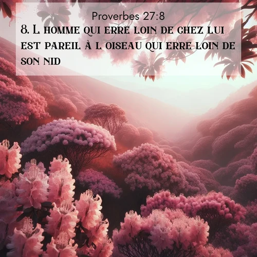 Segond21 Proverbes  ; image nature: image avec le verset biblique :L&#039;homme qui erre loin de chez lui est pareil à l&#039;oiseau qui erre loin de son nid. ;  ; 27:8