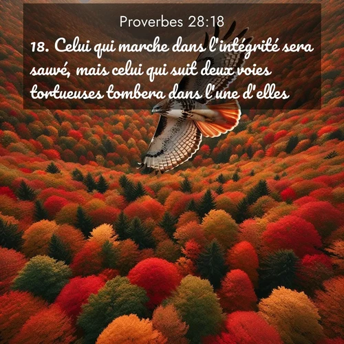 Segond21 Proverbes  ; image nature: image avec le verset biblique :Celui qui marche dans l&#039;intégrité sera sauvé, mais celui qui suit deux voies tortueuses tombera dans l&#039;une d&#039;elles. ;  ; 28:18