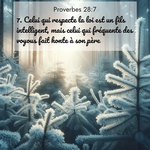 Segond21 Proverbes  ; image nature: image avec le verset biblique :Celui qui respecte la loi est un fils intelligent, mais celui qui fréquente des voyous fait honte à son père. ;  ; 28:7
