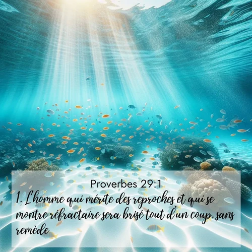 Segond21 Proverbes  ; image nature: image avec le verset biblique :L&#039;homme qui mérite des reproches et qui se montre réfractaire sera brisé tout d&#039;un coup, sans remède. ;  ; 29:1