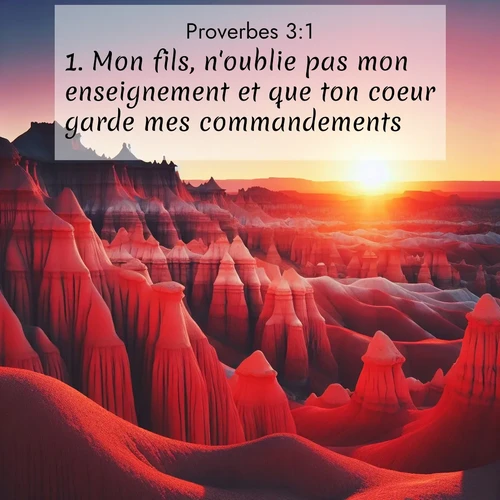 Segond21 Proverbes  ; image nature: image avec le verset biblique :Mon fils, n&#039;oublie pas mon enseignement et que ton coeur garde mes commandements, ;  ; 3:1