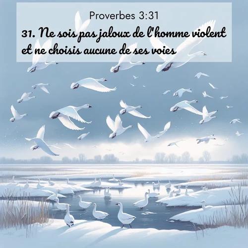 Segond21 Proverbes  ; image nature: image avec le verset biblique :Ne sois pas jaloux de l&#039;homme violent et ne choisis aucune de ses voies, ;  ; 3:31