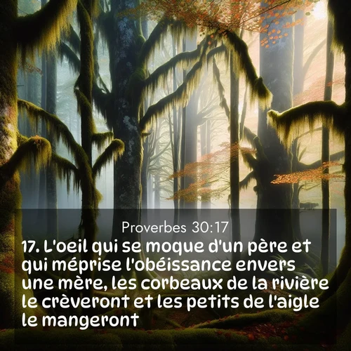 image nature avec verset biblique de la Bible