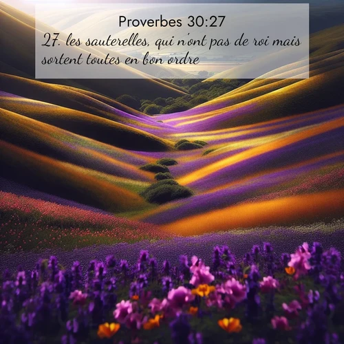 image nature avec verset biblique de la Bible