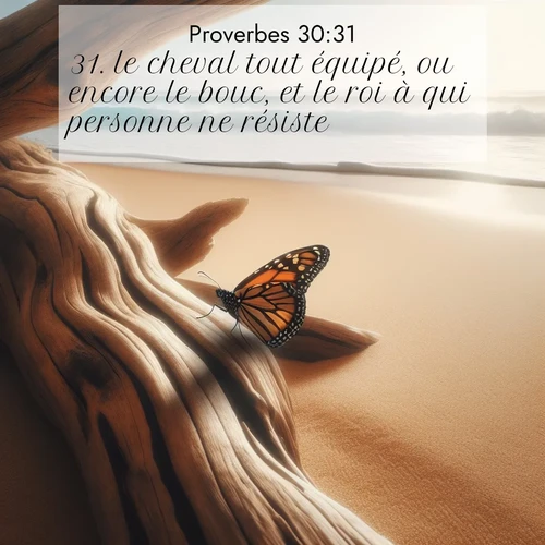 image nature avec verset biblique de la Bible
