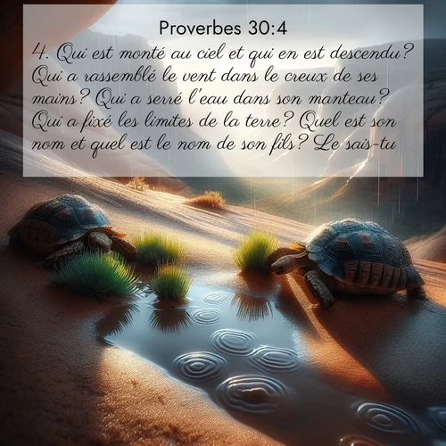 image nature avec verset biblique de la Bible
