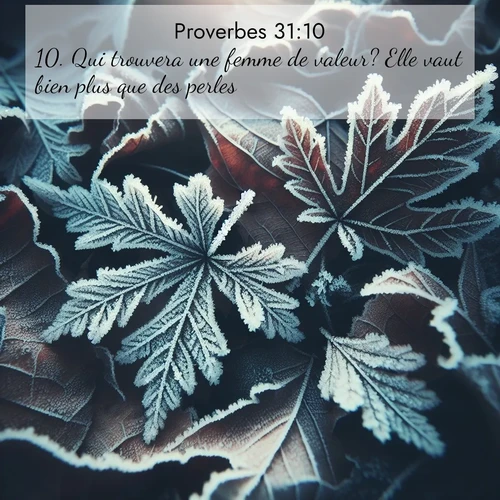 Segond21 Proverbes  ; image nature: image avec le verset biblique :Qui trouvera une femme de valeur? Elle vaut bien plus que des perles. ;  ; 31:10