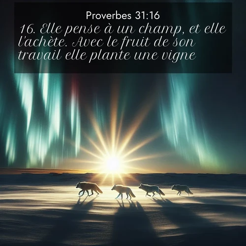 Segond21 Proverbes  ; image nature: image avec le verset biblique :Elle pense à un champ, et elle l&#039;achète. Avec le fruit de son travail elle plante une vigne. ;  ; 31:16