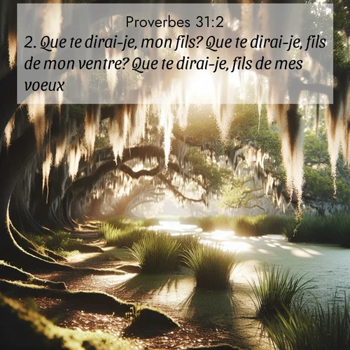 Segond21 Proverbes  ; image nature: image avec le verset biblique :Que te dirai-je, mon fils? Que te dirai-je, fils de mon ventre? Que te dirai-je, fils de mes voeux? ;  ; 31:2