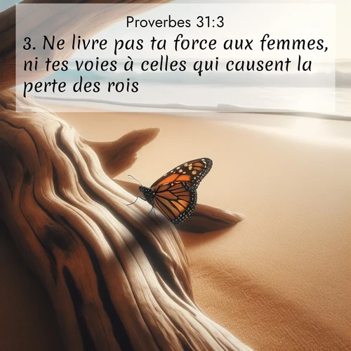 Segond21 Proverbes  ; image nature: image avec le verset biblique :Ne livre pas ta force aux femmes, ni tes voies à celles qui causent la perte des rois! ;  ; 31:3