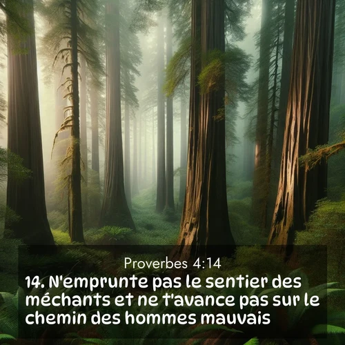 Segond21 Proverbes  ; image nature: image avec le verset biblique :N&#039;emprunte pas le sentier des méchants et ne t&#039;avance pas sur le chemin des hommes mauvais. ;  ; 4:14